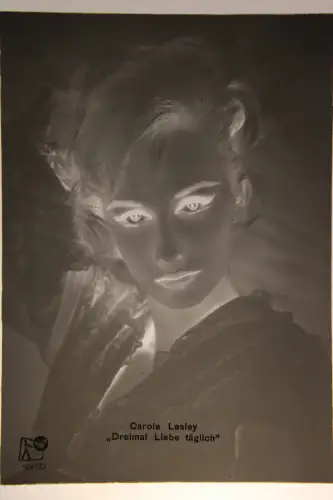 Vintage Glasnegativ Platte Glassnegative Carole Lesley