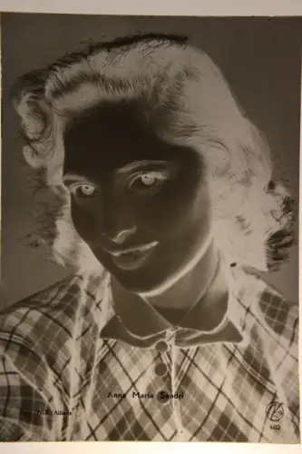 Vintage Glasnegativ Platte Glassnegative Anna Maria Sandri