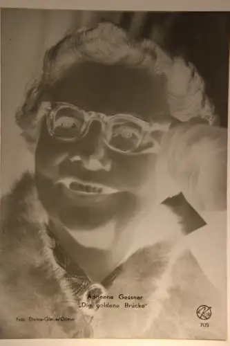 Vintage Glasnegativ Platte Glassnegative Adrianne Gessner