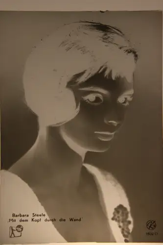 Vintage Glasnegativ Platte Glassnegative Barbara Steele