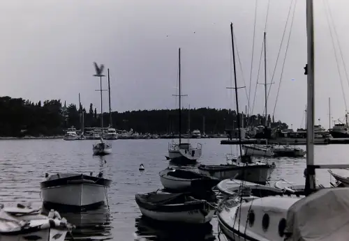 Orig Film Negativ  Kroatien Rovinj Hafen Hafenleben  1970s B14/13/28