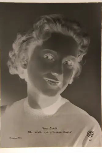 Vintage Glasnegativ Platte Glassnegative Nina Sandt