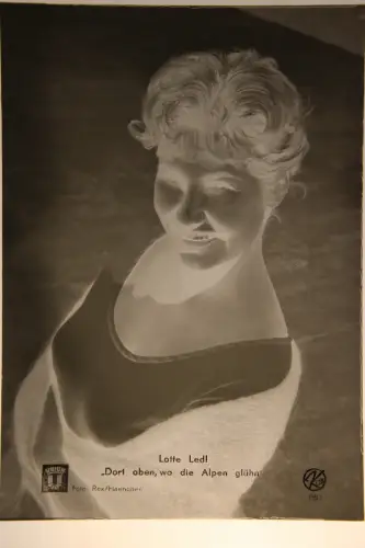 Vintage Glasnegativ Platte Glassnegative Lotte Ledl