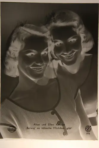 Vintage Glasnegativ Platte Glassnegative Alice&Elen Kessler