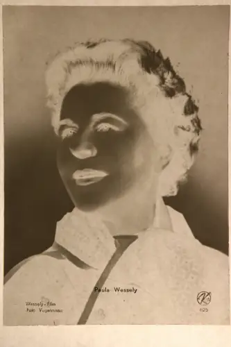 Vintage Glasnegativ Platte Glassnegative Paula Wessely