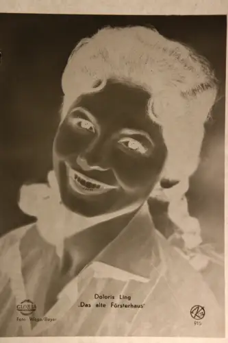 Vintage Glasnegativ Platte  Glassnegative Doloris Ling "Das alte Försterhaus"