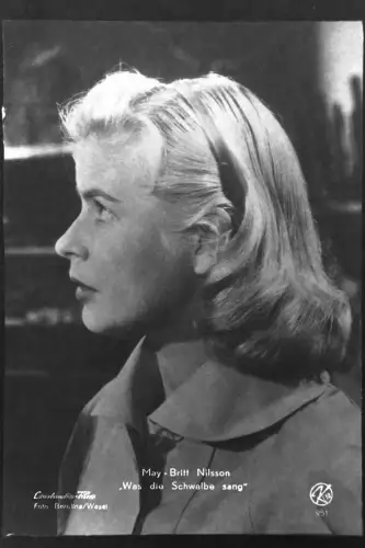 Vintage Glasnegativ Platte  Glassnegative May - Britt Nielsson "Was die Schwalbe