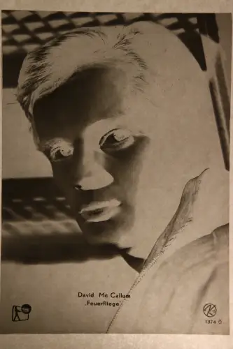 Vintage Glasnegativ Platte  Glassnegative David Mc Callum "Feierfliege"