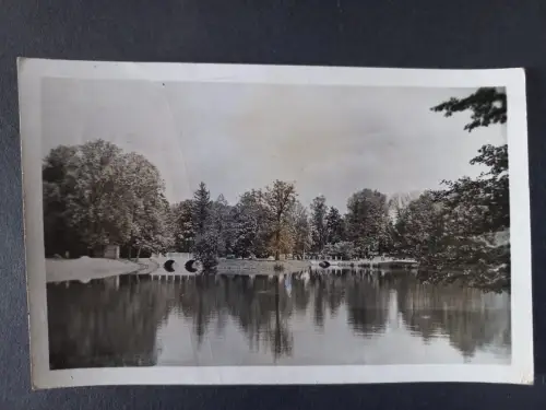 AK Postcard CPA  Polen Fragment Parku w Julianowie