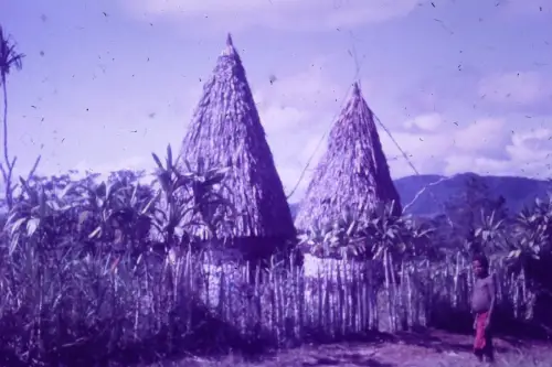 Original DIA Film Slide 35mm Native House Papua New Guinea '60s
