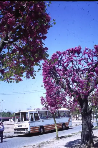 Original DIA Film Slide  Street Scene Algarve Volvo Bus  Portugal '70s B9/R18