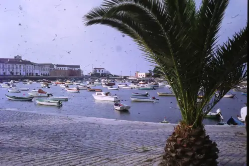 Original DIA Film Slide 35mm Fishing Port in Portugal '70s B9/R10