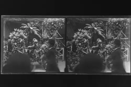 Antique Glass negative Stereo South France, Carnaval Nice 1900s