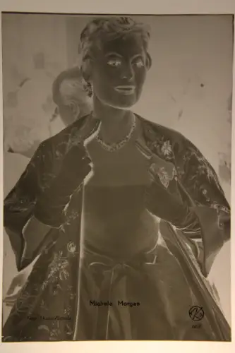 Vintage Glasnegativ Platte Glassnegative Michele Morgan