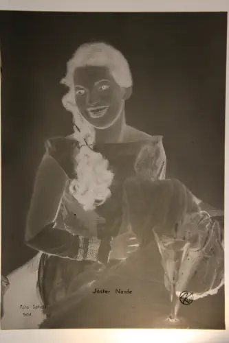 Vintage Glasnegativ Platte Glassnegative Jester Naefe