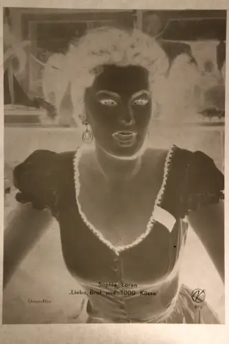 Vintage Glasnegativ Platte Glassnegative Sophia Loren Movie Star