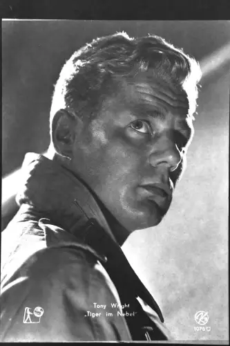 Vintage Glasnegativ Platte Glassnegative Tony Wright "Tiger im Nebel"