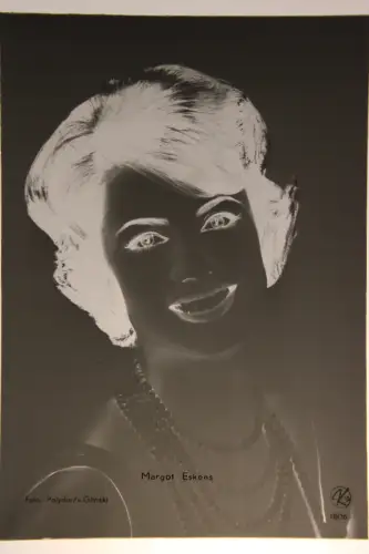 Vintage Glasnegativ Platte Glassnegative Margot Eskens