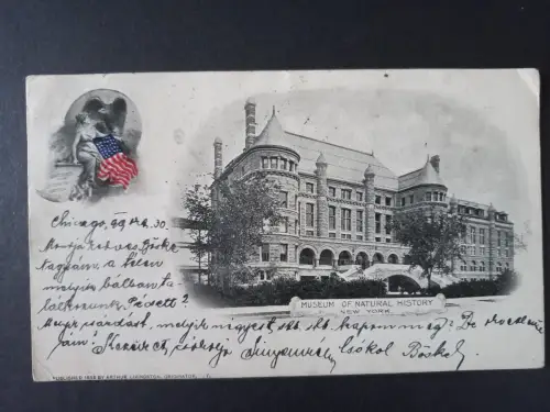 AK Postcard New York – Museum of Natural History 1899