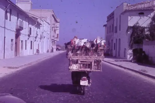 Original DIA Film Slide 35mm Chicken Transport in Portugal  1960s B8/45