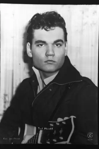 Vintage Glasnegativ Platte Glassnegative Ted Herold