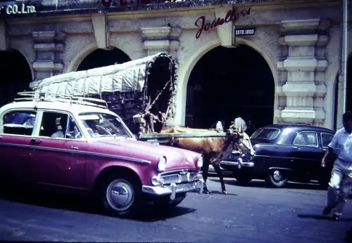 Vintage Sri Lanka Street Car Bullock Cart 1960s Exotic Old DIA Slide