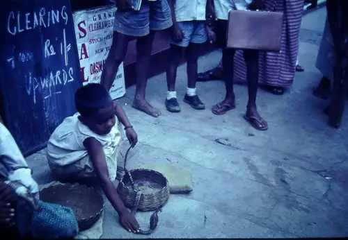 Vintage Ceylon Sri Lanka Snake Charmer Child Street 1960s Old PhotoOld DIA Slide