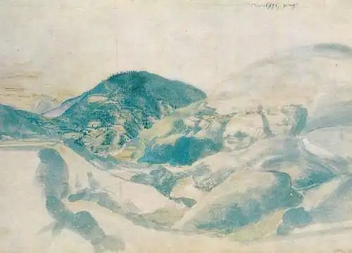 Fine arts paintings A. Durer Wehlsch pirg