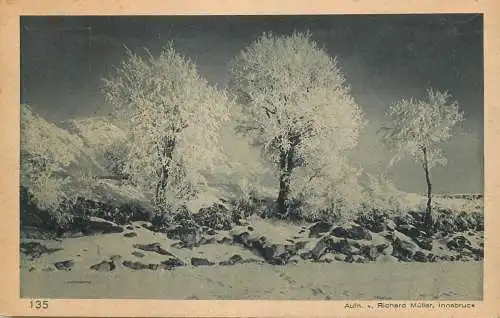 Trees in winter Richard Muller, Insbruck