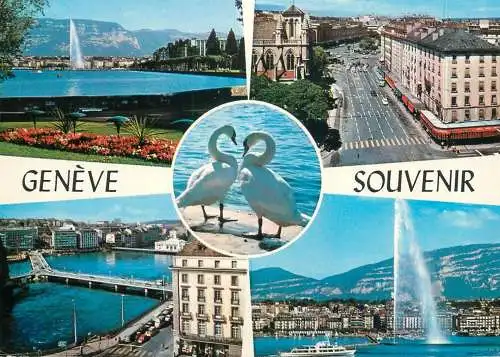 Switzerland souvenir de Geneve