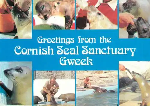 Greetings from the Cornish Seal Sanctuary Gweek multi view