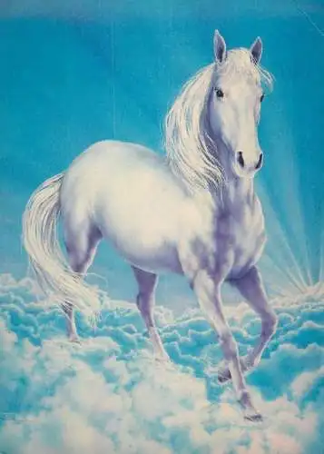 Dream Horse by Andrew Farley at Meiklejohn illustration
