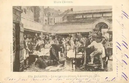 Farasyn - La minque au poisson a Anvers