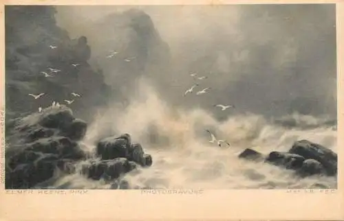 Elmer Keene photogravure seascape with gulls