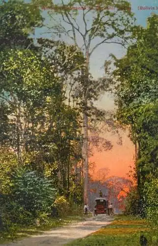 Bolivia old postcard