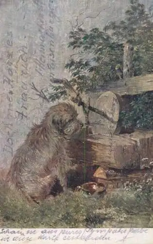 Fine art vintage postcard dog & mill scene