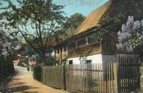 Germany Pfingsten Pentecost greetings house lilac flowers old postcard