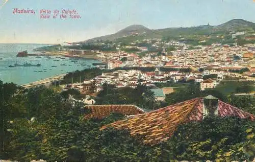 Madeira panorama