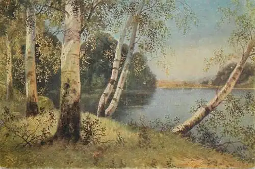 Landscape with trees old postcard