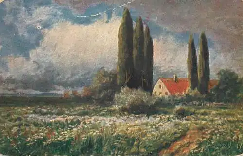 Lanscape with poplars trees old postcard