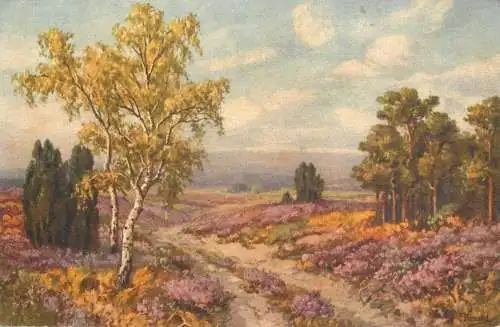Lanscape with trees old postcard
