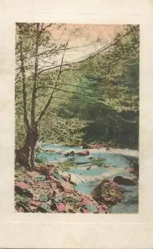 Landscape with trees
