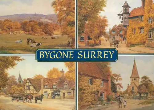 England Bygone Surrey multi view from paintings by A.R Quinton