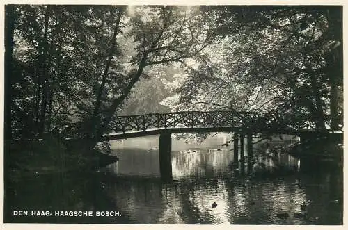 Den Haag ('s-Gravenhage) Haagsche Bosch