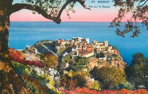 Monaco panoramic view