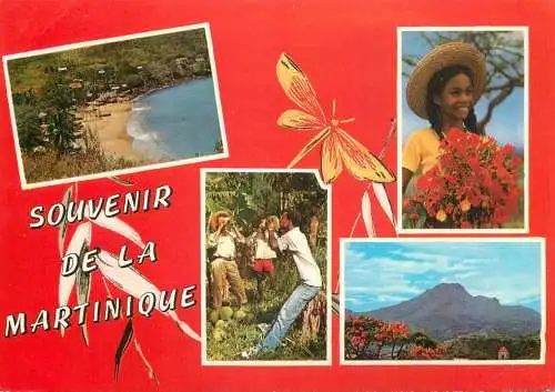 Martinique souvenir several aspects and views