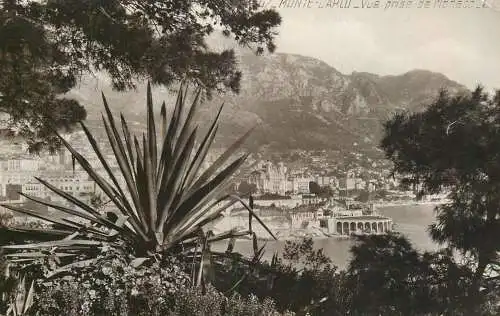 Monte Carlo panorama