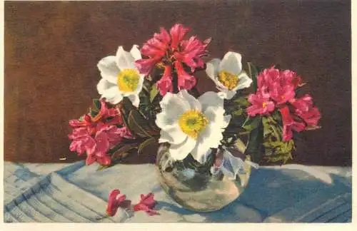 Postcard alpine flowers anemone alpina alpenrose Switzerland 1957
