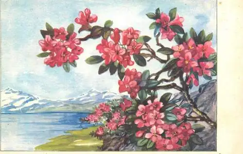Flowers & landscape postcard Switzerland