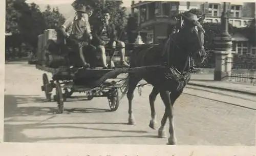 Social history ethnic types and scenes people with carriage